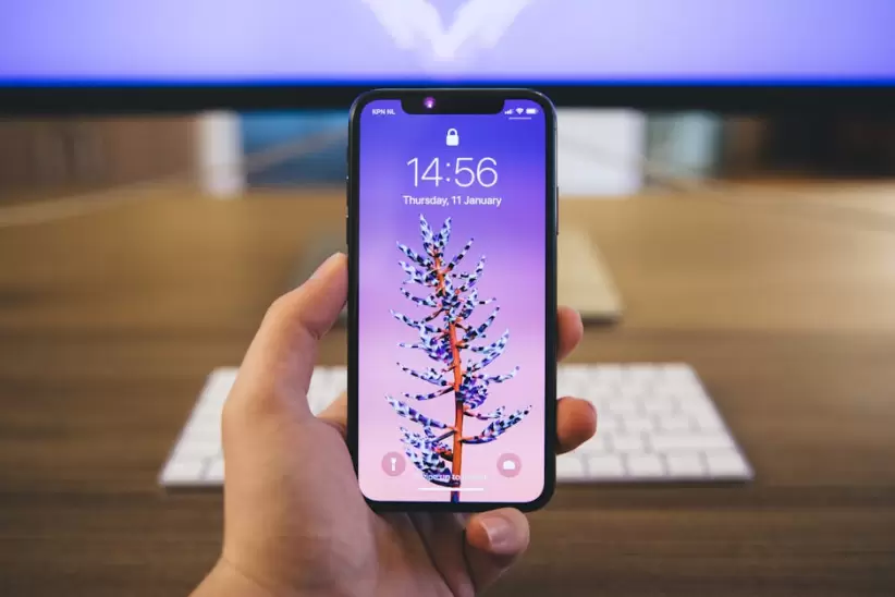 Persona Tiene Espacio Gris Iphone X
