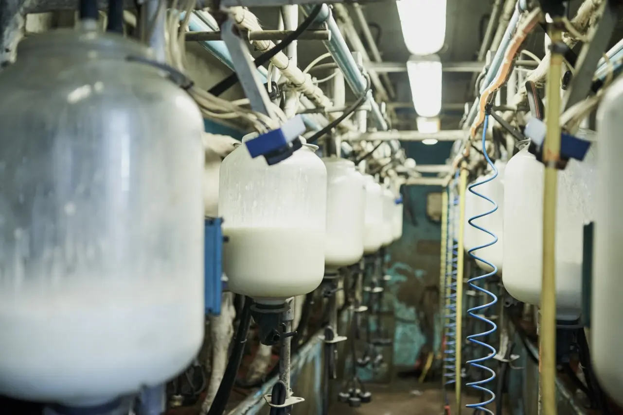 industria lactea