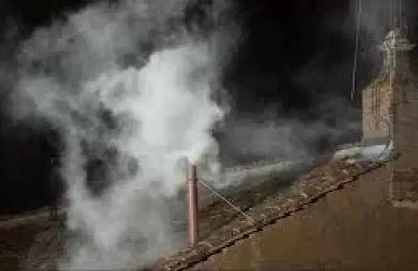 "Habemus Papam": cmo se elegir al sucesor de Francisco y cunto puede demorar