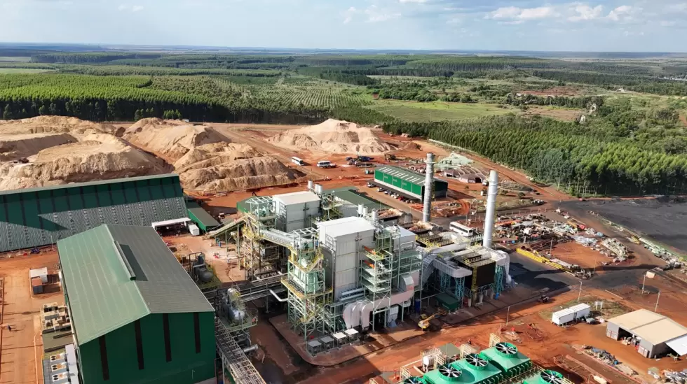 Insud nueva planta