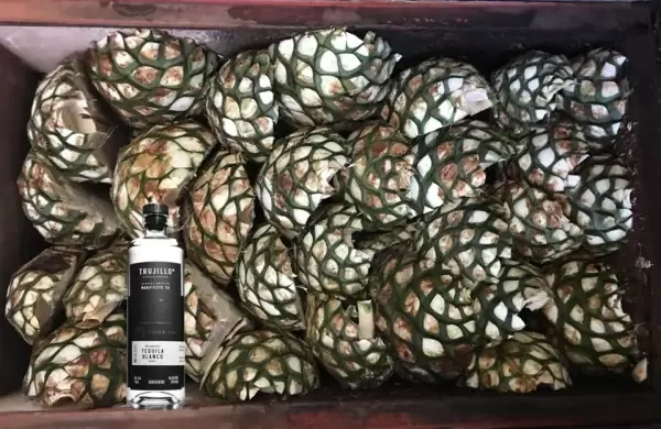 Este es el mejor tequila del mundo, según The 2025 Agavos Awards