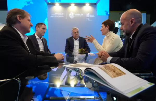 Genneia agranda su inversin en Mendoza con nueva capacidad solar