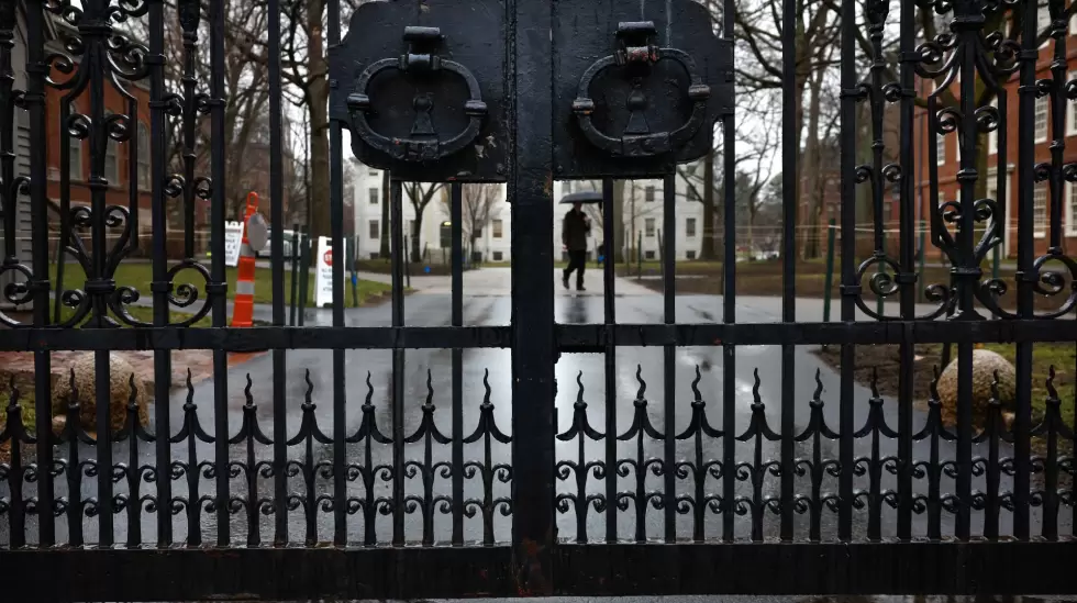 harvard universidad.jp