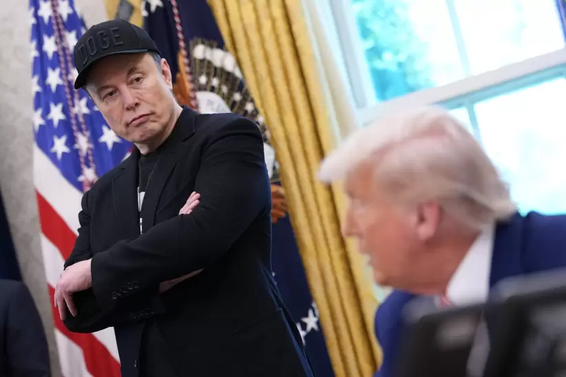 musk trump