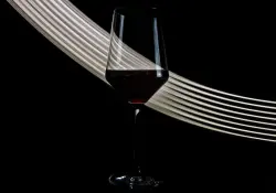 El vino más caro del mundo: cuál es y cuánto pagaron