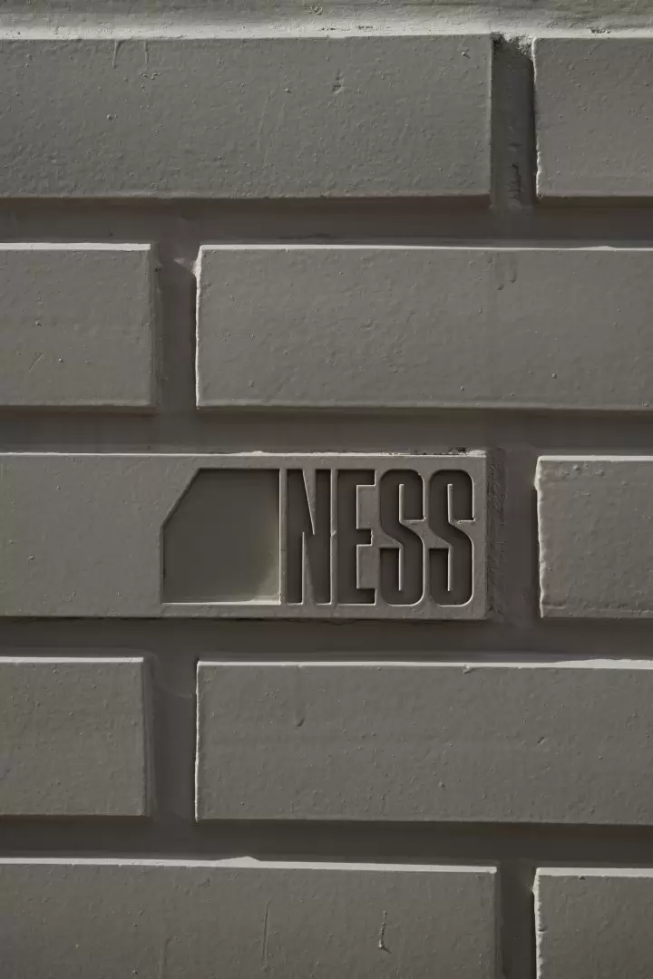 Leo Lanussol Ness
