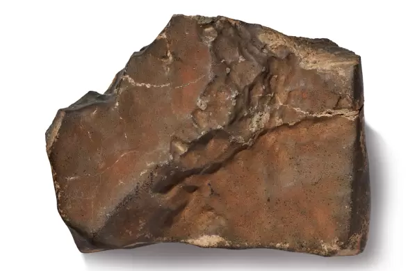 La historia del gigantesco meteorito que  podría convertirse en el más caro de la historia