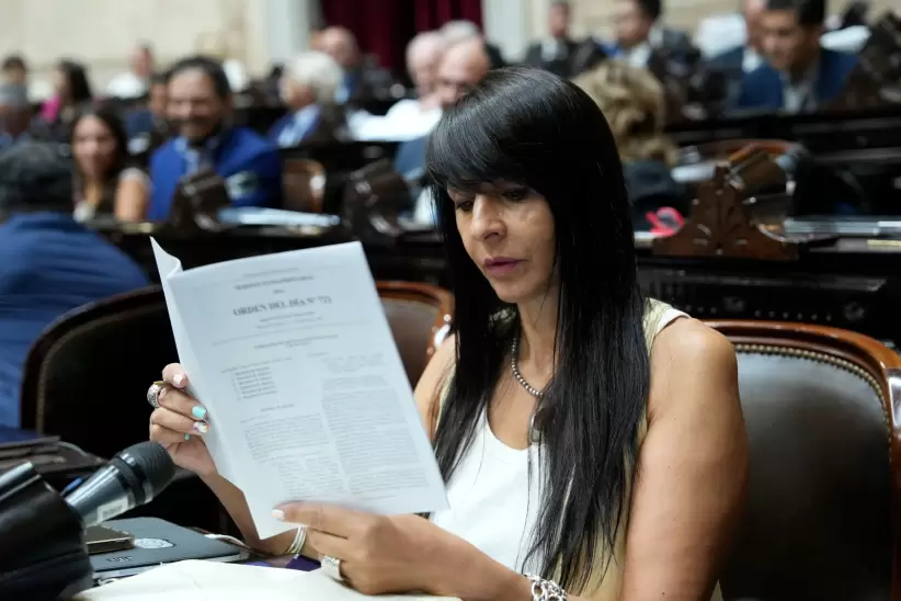 Lorena Villaverde, presidenta de la Comisin de Energa en Diputados