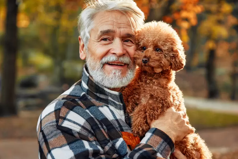 Mascotas, perros, abuelos, adultos mayores