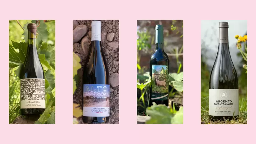 FERIA DE VINOS ORGNICOS Y SUSTENTABLES