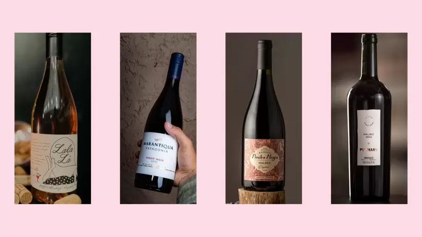 FERIA DE VINOS ORGNICOS Y SUSTENTABLES
