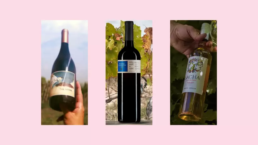 FERIA DE VINOS ORGNICOS Y SUSTENTABLES