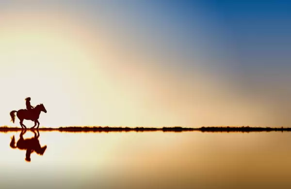 Lo que los caballos pueden ensear sobre liderazgo y el valor de estar presentes