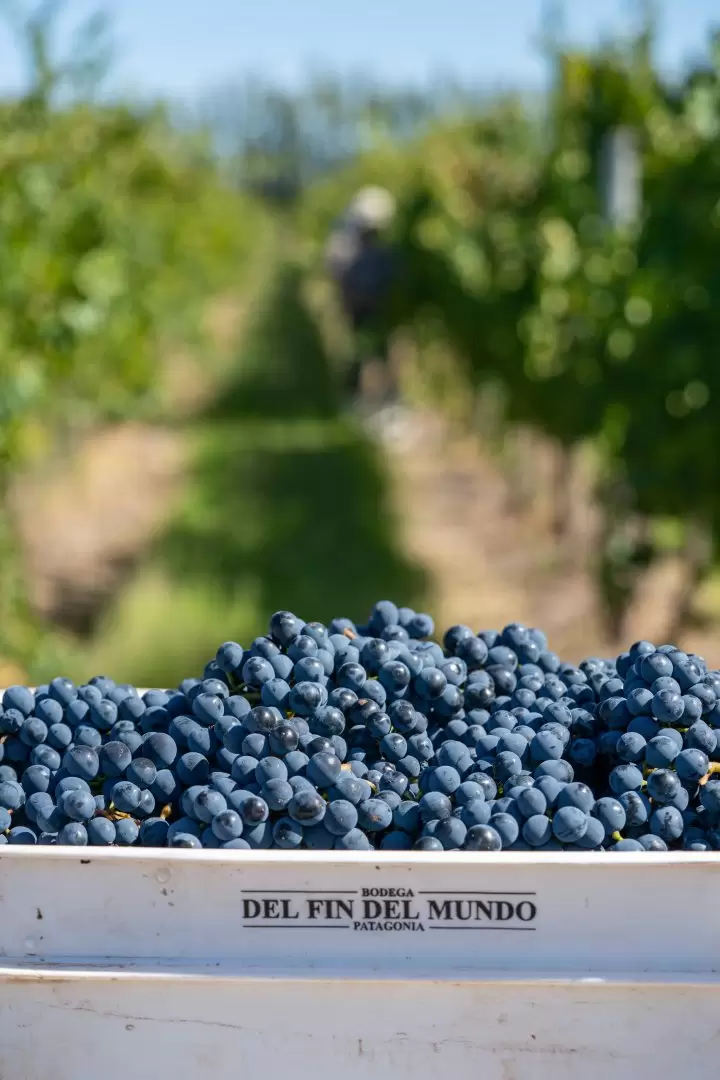 bodegasfindelmundo-02853