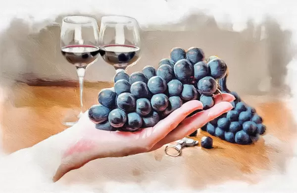 100% Cabernet Sauvignon mendocino: 12 vinos que no pueden faltar en tu cava