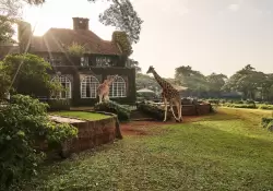 De Tailandia a la Antártida: los mejores destinos de alta gama para conectar con la naturaleza