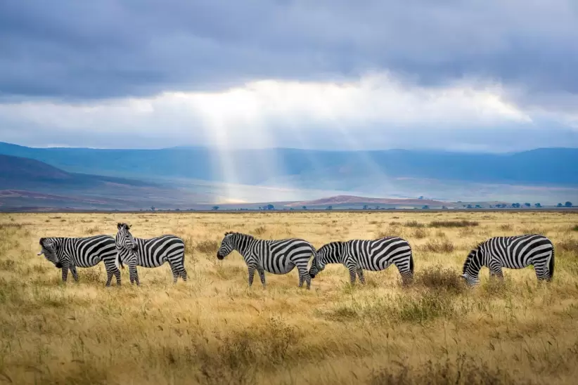 Tanzania. Foto: Pexels.