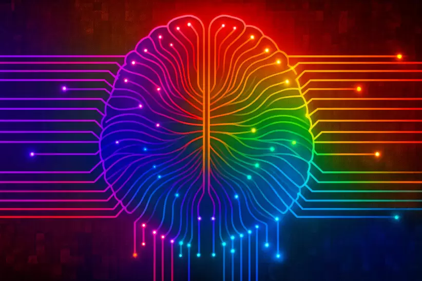 Imagen del cerebro, conexión