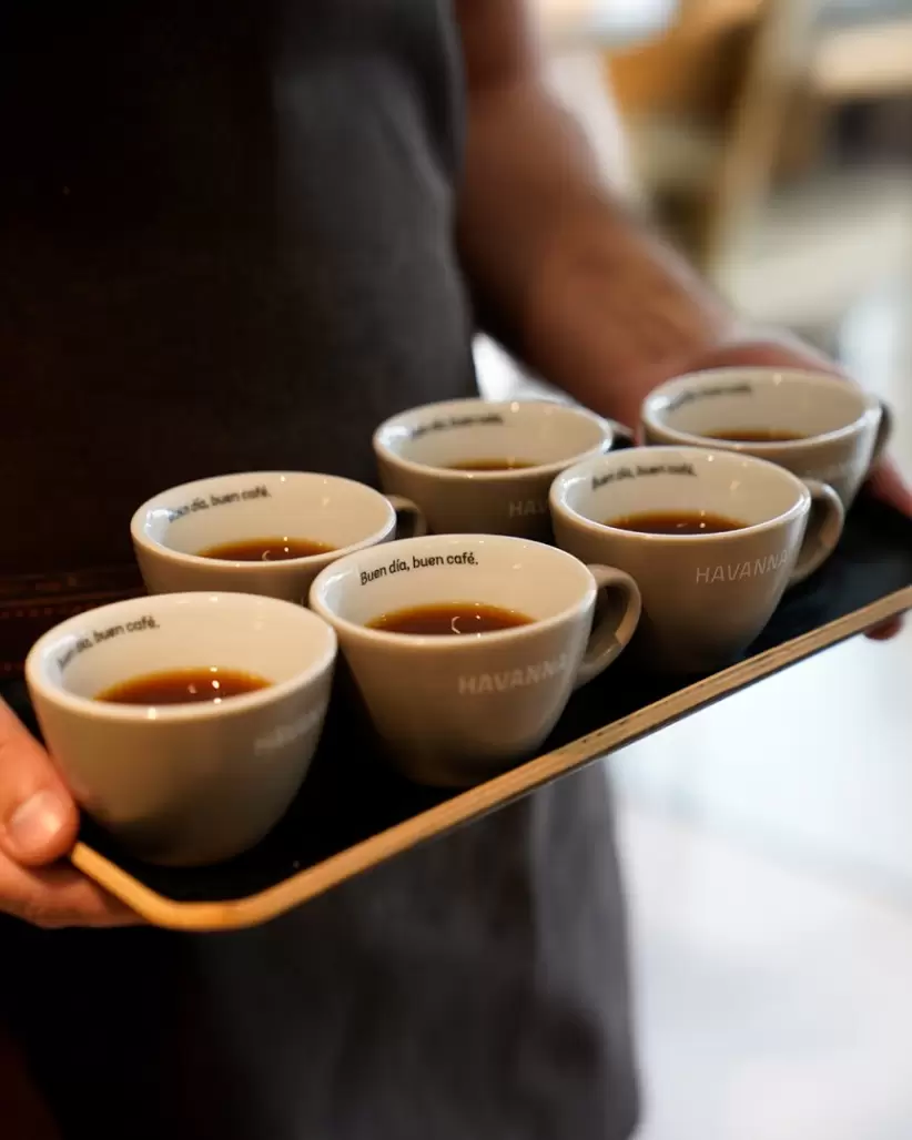 Tendencias Gastronomicas 2025 Cafe cabralesyhavanna