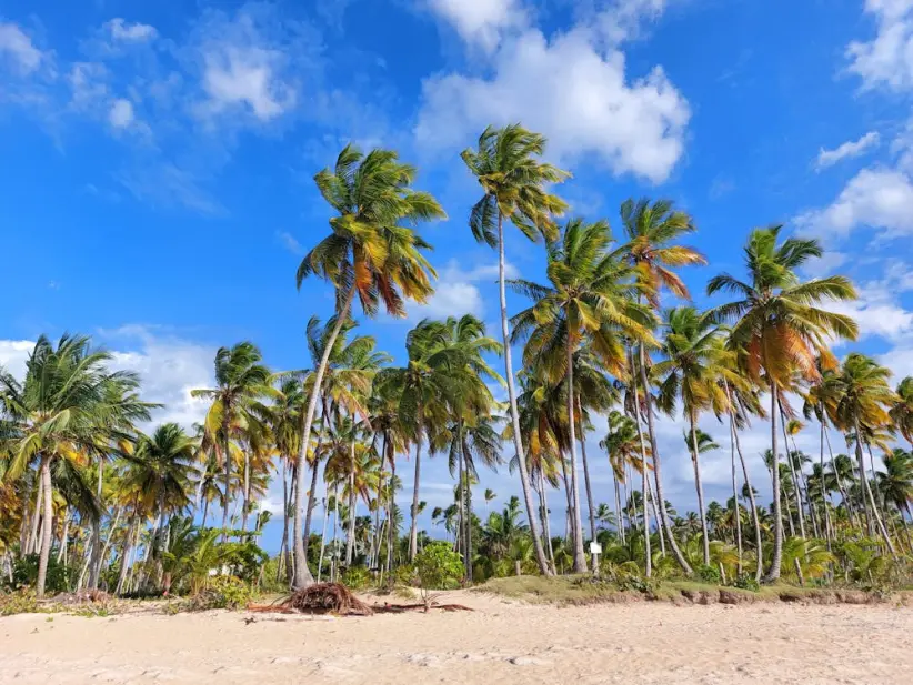 Las Terrenas, Península de Samaná, República Dominicana