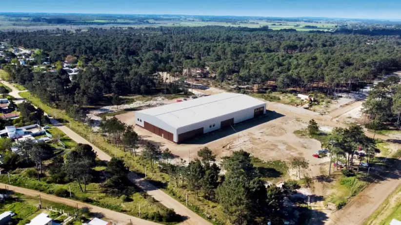 Planta de Mood en El Pinar para construccin en madera. Foto: Gentileza Mood.