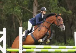 China abre la puerta a Uruguay: los criadores de caballos deportivos miran a un mercado gigante