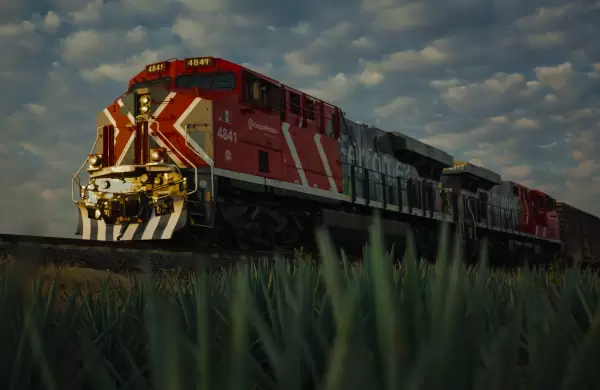 Qu empresas se disputan la privatizacin de los trenes y cunto podran invertir