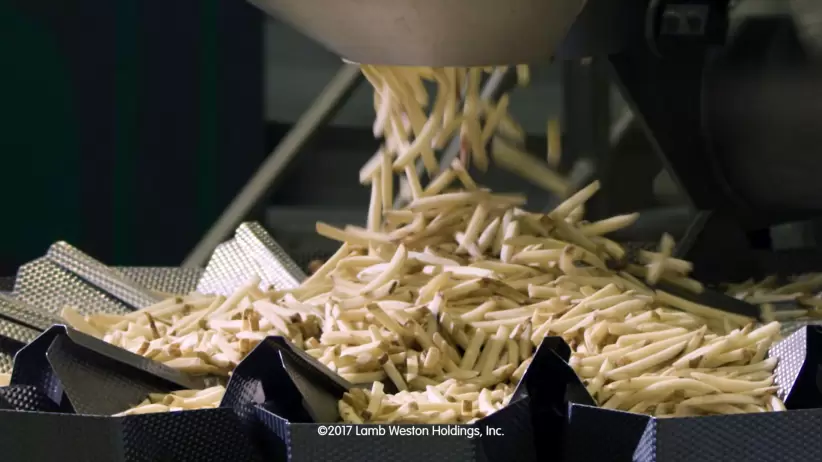 papas fritas lamb weston