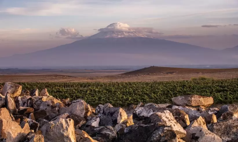 Bodega Karas, Valle de Ararat, Armenia