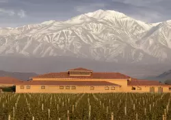Cuáles son las bodegas argentinas elegidas entre las 50 mejores del mundo