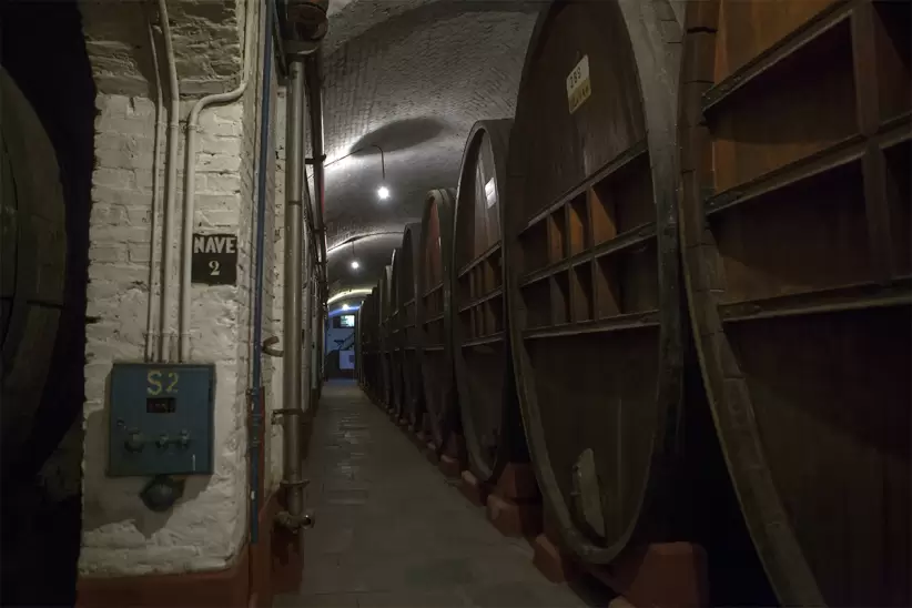 dia del vino arg_0004_photo by ricardo ceppi getty images