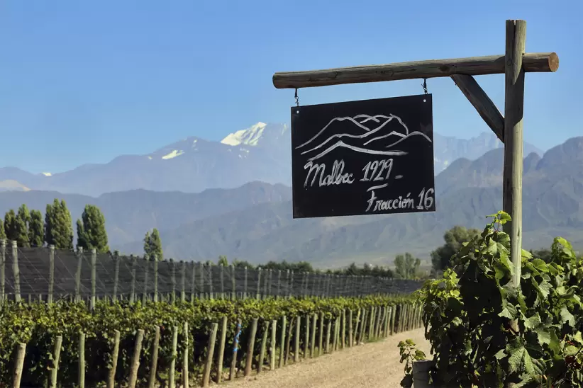 dia del vino arg_0005_photo by david silverman getty images