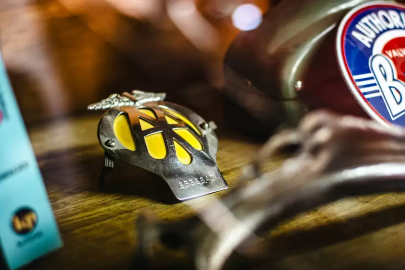 Camila Tornquist Raklus Cars Credito: Julieta Urrutia