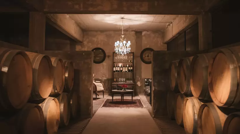 escorihuela rosaura_0003_escorihuela rosaura