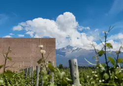 Magia De Uco: el secreto mejor guardado del Valle de Uco