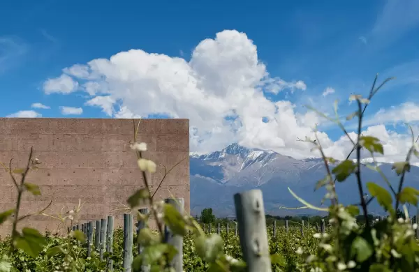 Magia De Uco: el secreto mejor guardado del Valle de Uco