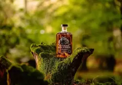 Cinco joyas del whiskey irlands que vale la pena probar