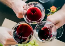 Cabernet Franc: la voz sutil que conquist las copas argentinas