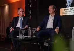 El gobierno anunciara una extensin del RIGI durante el verano