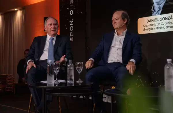 El gobierno anunciara una extensin del RIGI durante el verano