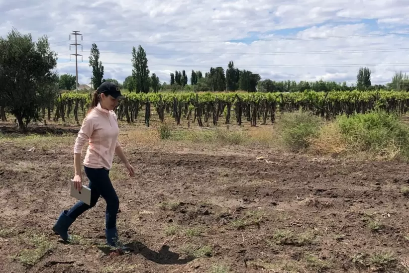 Paz Álvarez y Zavia Bio fueron ganadoras del programa Acelerar Creadoras de HSBC y Endeavor