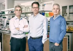 La familia que tejió su fortuna con batas médicas ahora vale US$ 20.000 millones y sale a la bolsa