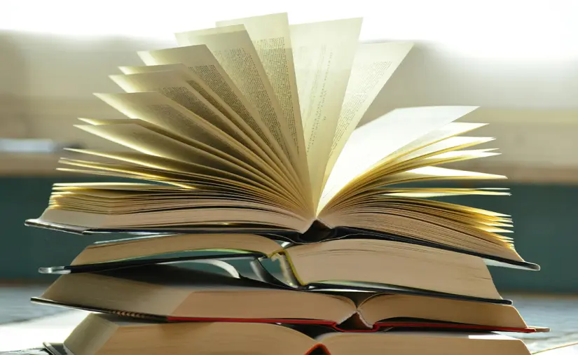 Furor comercial: cuáles fueron los libros más vendidos del ecommerce argentino en 2025