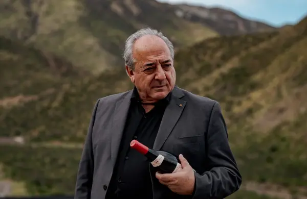 La nueva vitivinicultura: inversiones y simplificación regulatoria, la estrategia para que Argentina vuelva a exportar con fuerza