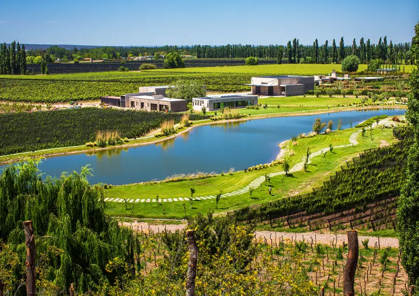 viajes vinos_0002_durigutti finca victoria