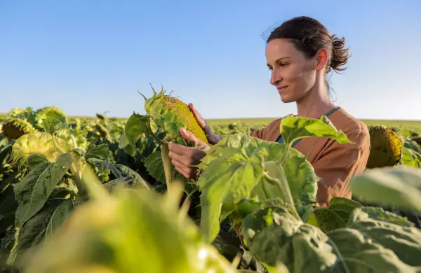 Las otras plagas: Syngenta muestra el lado menos conocido de producir en el campo