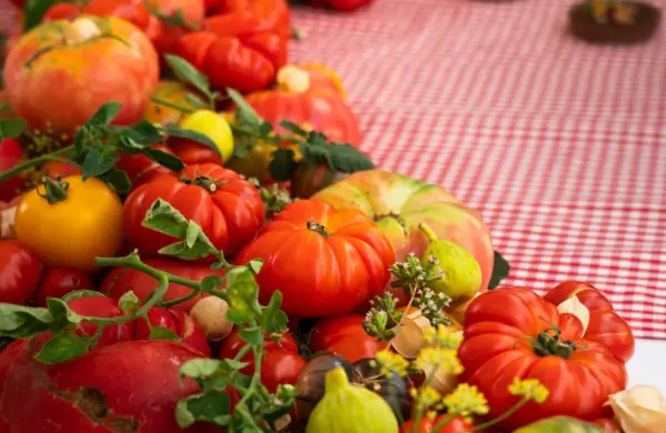 ¡Del Tomate! 2026: Mendoza reúne a destacados chefs del mundo en un festival con propósito
