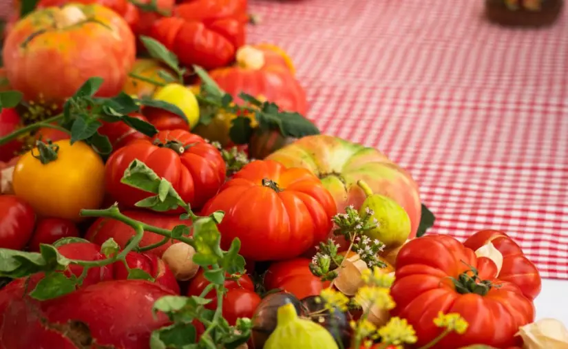 ¡Del Tomate! 2026: Mendoza reúne a destacados chefs del mundo en un festival con propósito