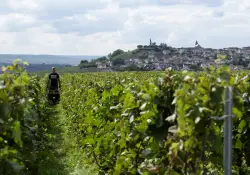 El vino como excusa para descubrir lugares únicos: caminatas, trenes y recorridos gastronómicos