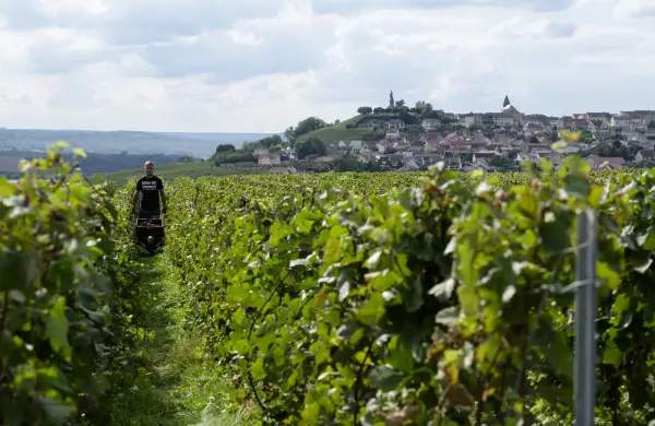El vino como excusa para descubrir lugares únicos: caminatas, trenes y recorridos gastronómicos